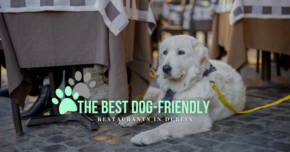 The Best Dog-Friendly Restaurants In Dublin