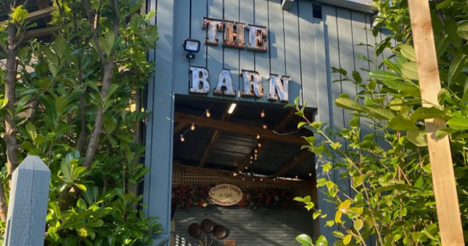 The Best Dog-Friendly Restaurants In Dublin
